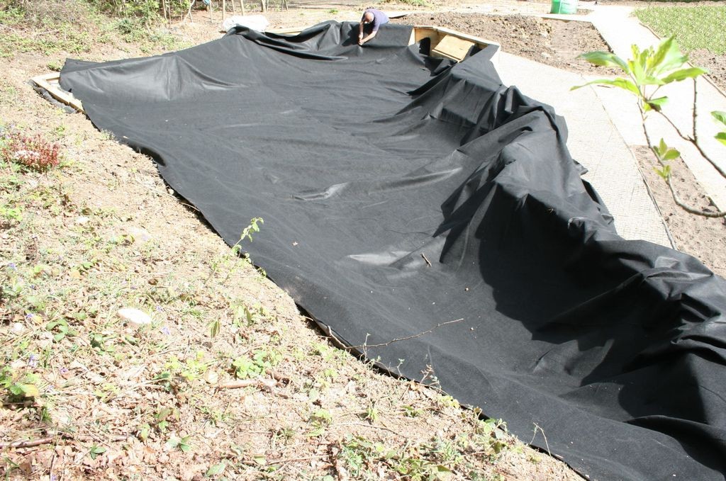 Пруд над землей - фото 13