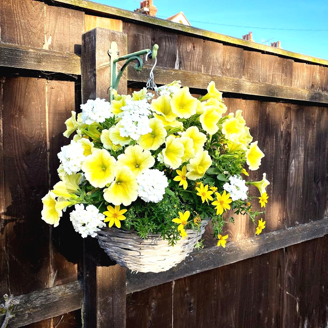 Оригинальные клумбы - фото 13