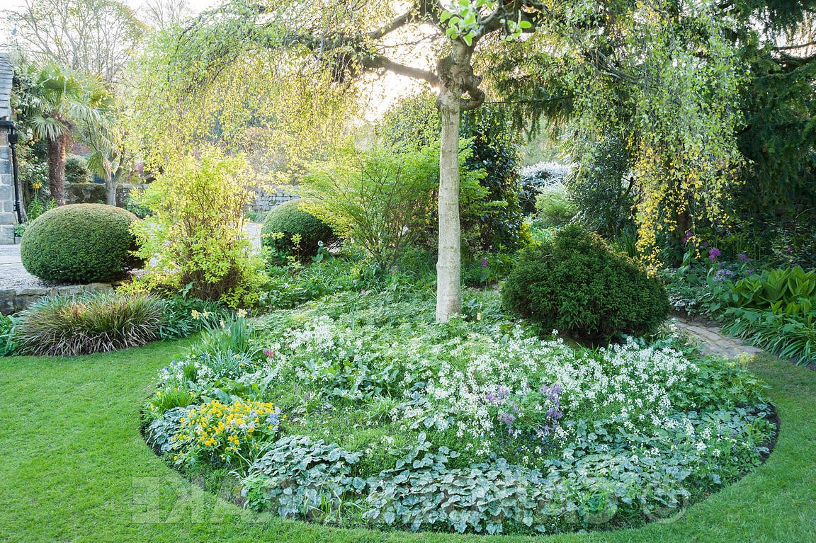 Йоркские ворота - дизайн сада - фото 8