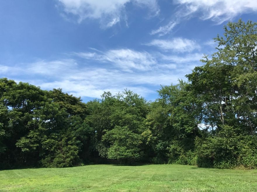 Удивительная оранжерея из старых окон - фото 2