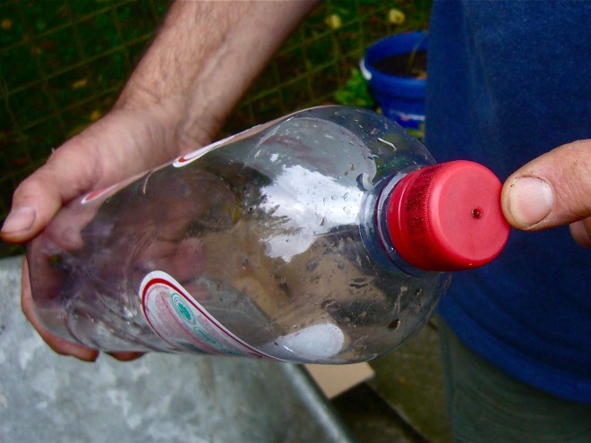 Вертикальный сад из пластиковых бутылок - фото 8