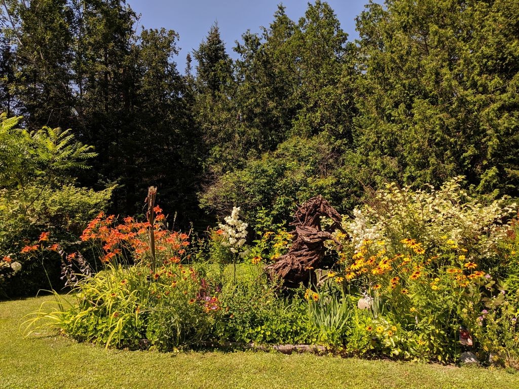 Скульптура лошади из коряг - фото 18