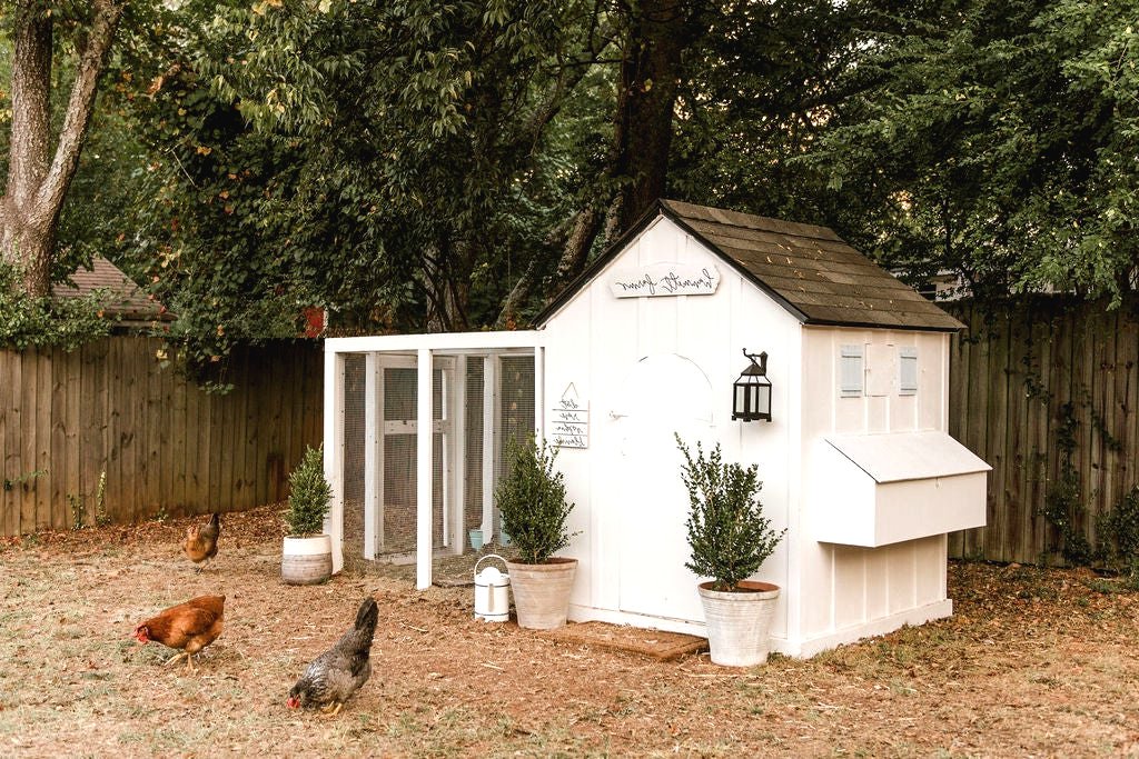 Как построить необычный курятник? - фото 2