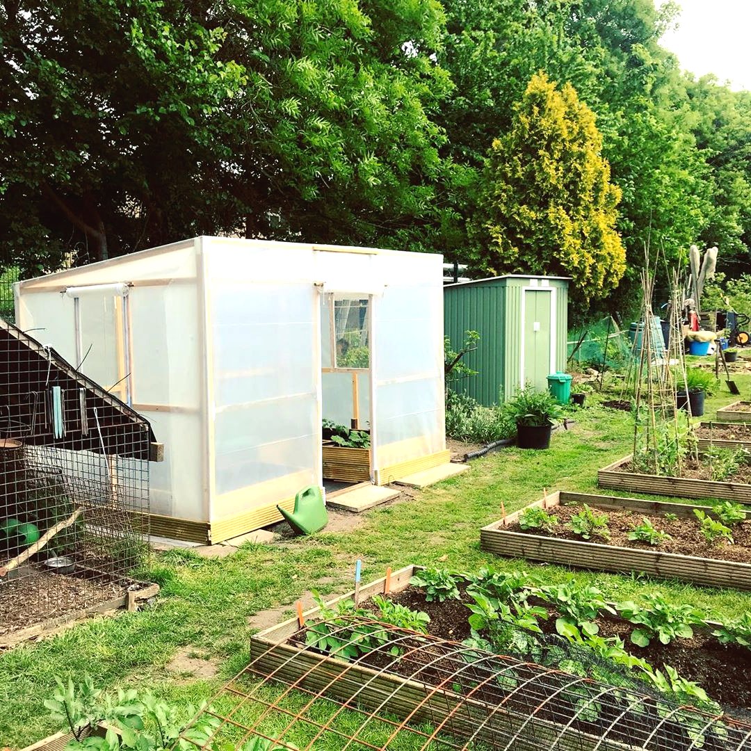 Интересная теплица из дерева и пленки - фото 7