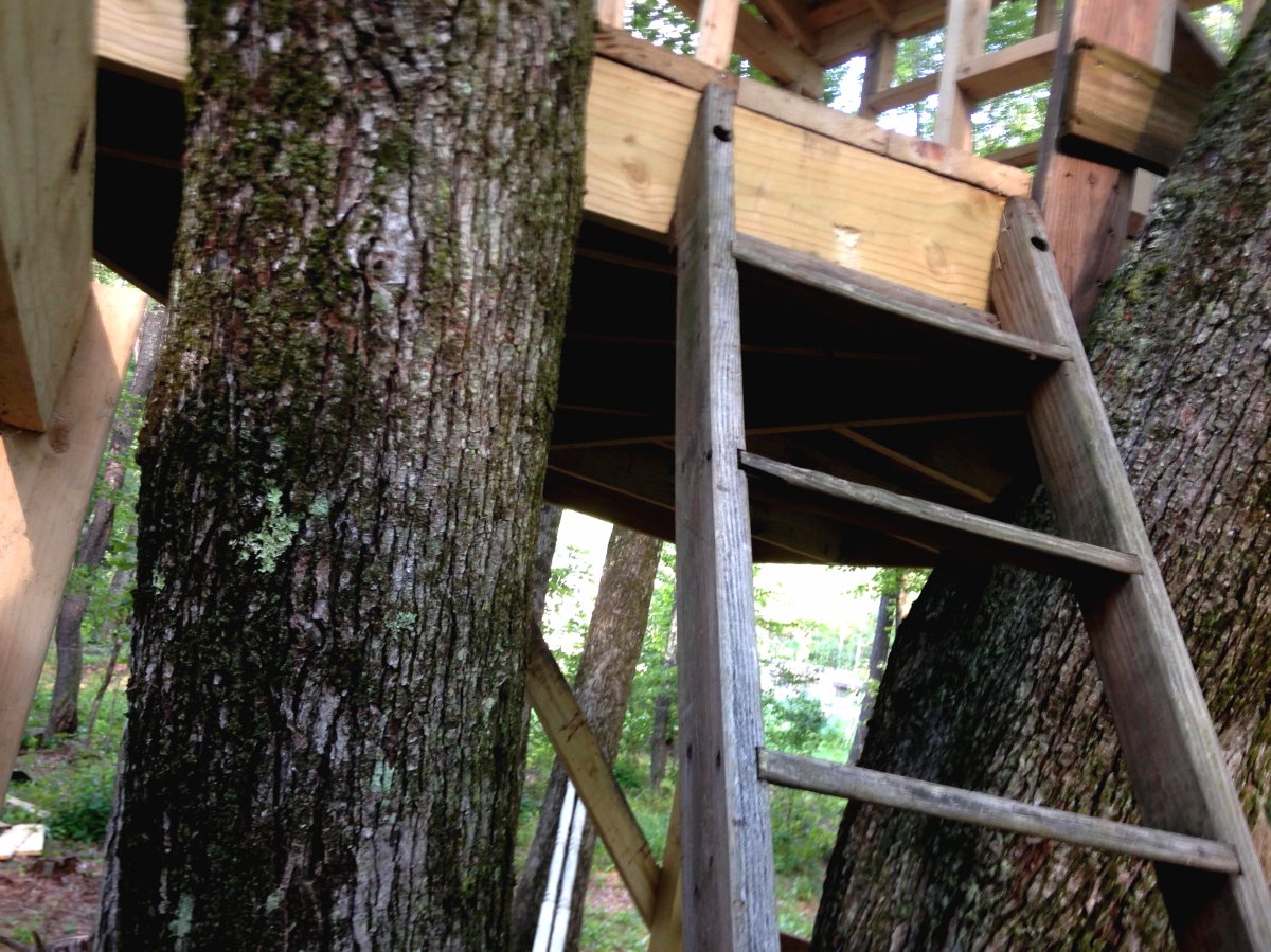 Многоуровневый домик на дереве для детей - фото 12