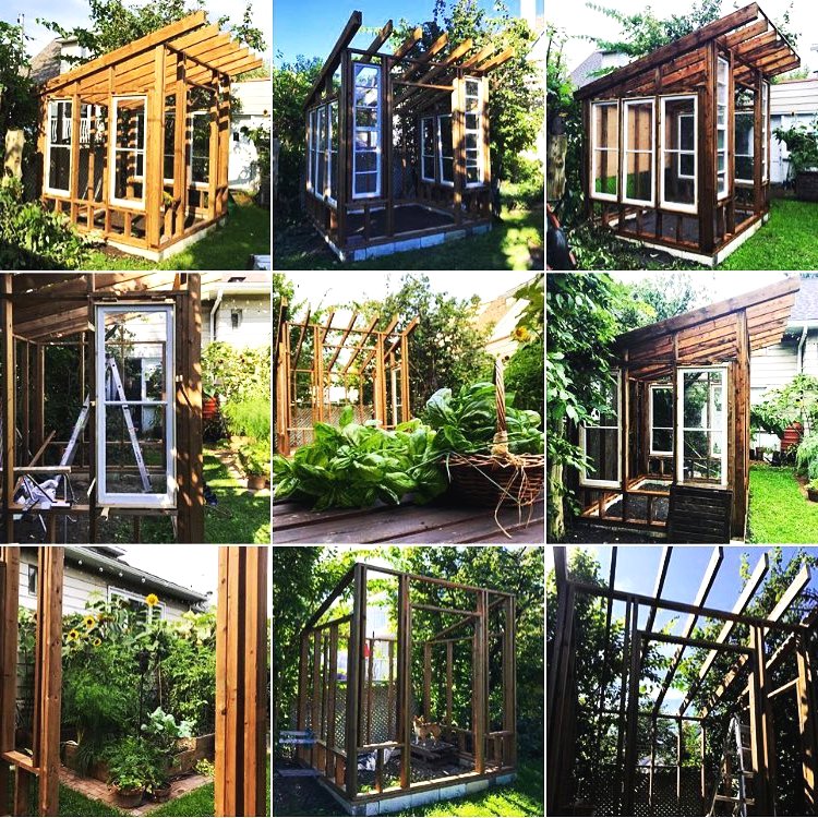 Мини оранжерея своими руками - фото 5