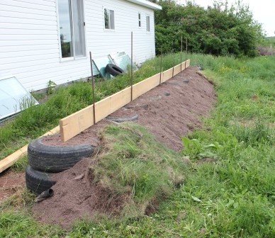 Парник - фото 4