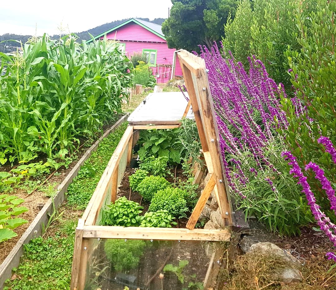 Небольшой парник из поликарбоата - фото 4