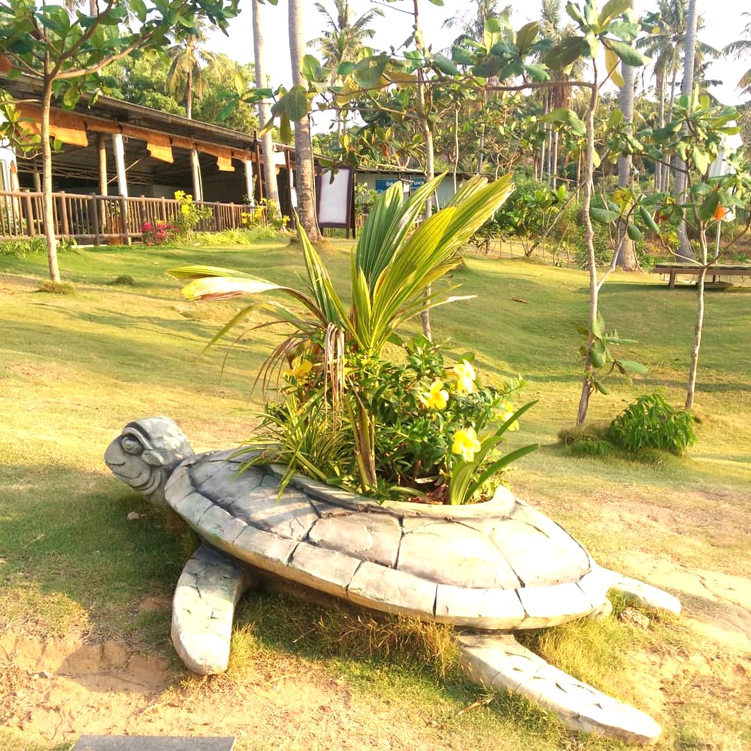 5 оригинальных идей для цветочной клумбы - фото 3