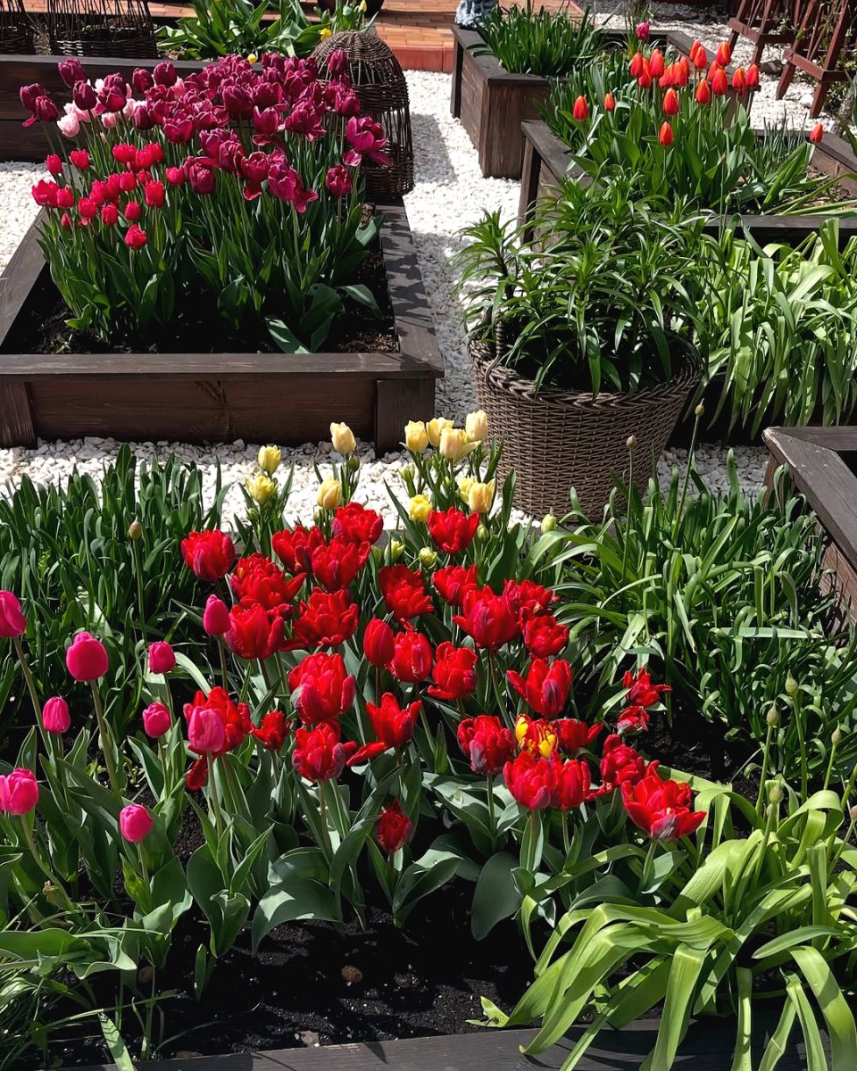 Ландшафтный дизайн небольшого сада - фото 10