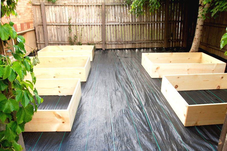 Облагораживаем участок - фото 7