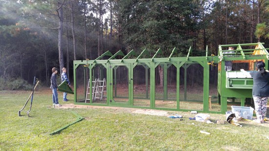 Идея для курятника - фото 8