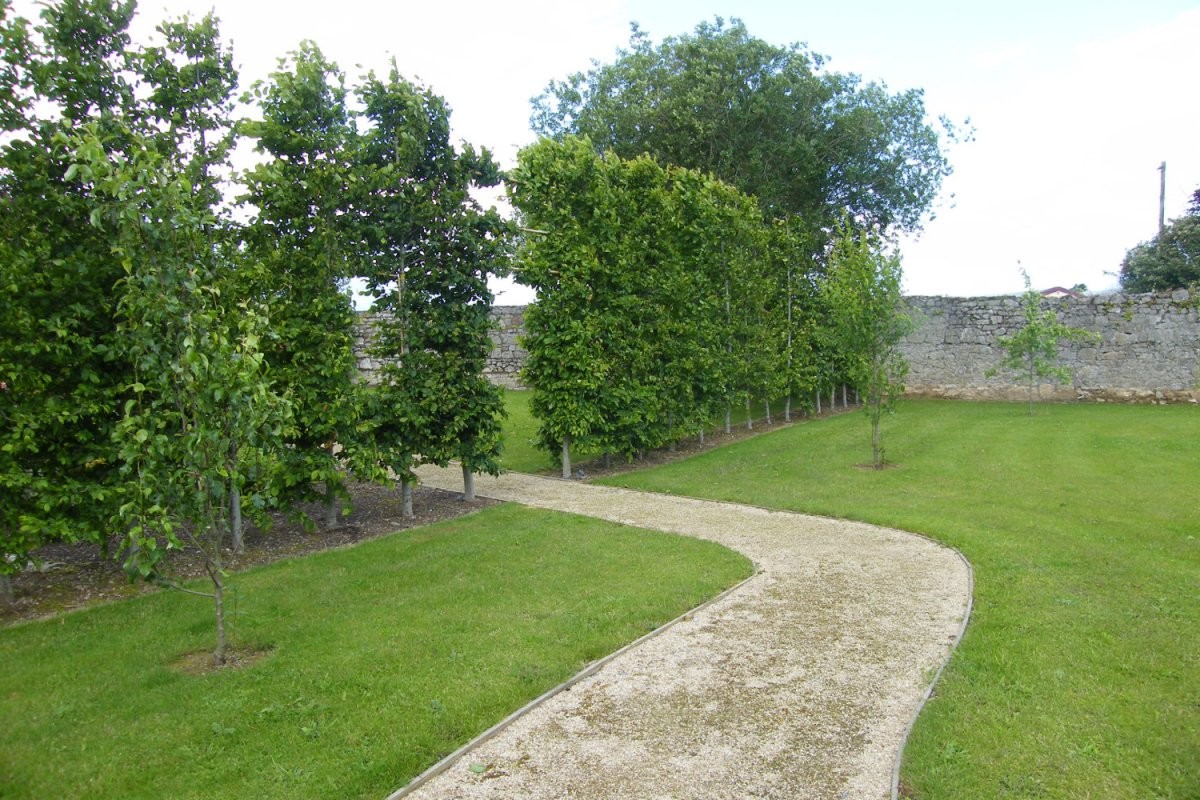 Сельский сад - фото 10