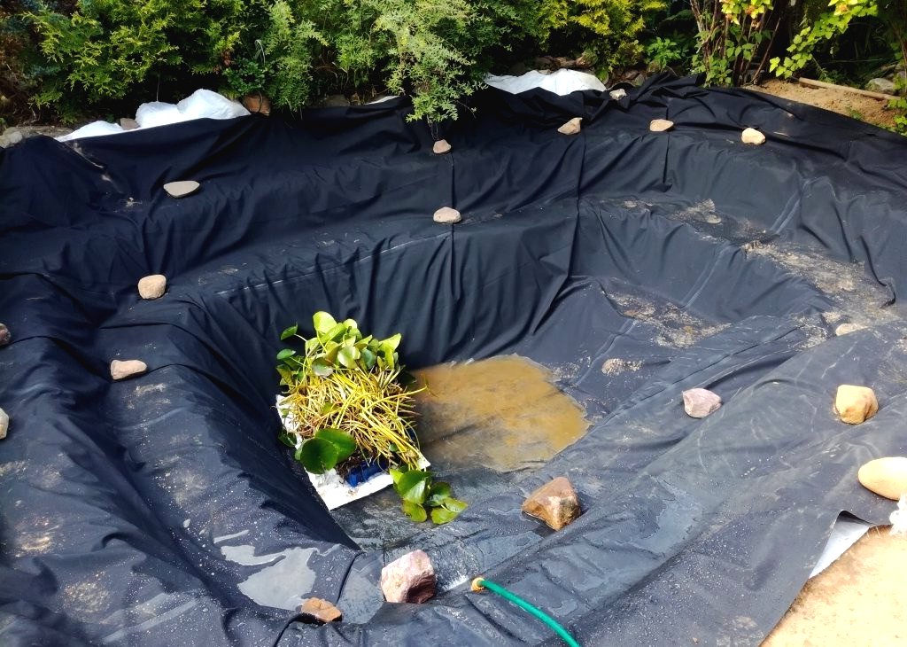 Пруд на дачном участке - фото 4