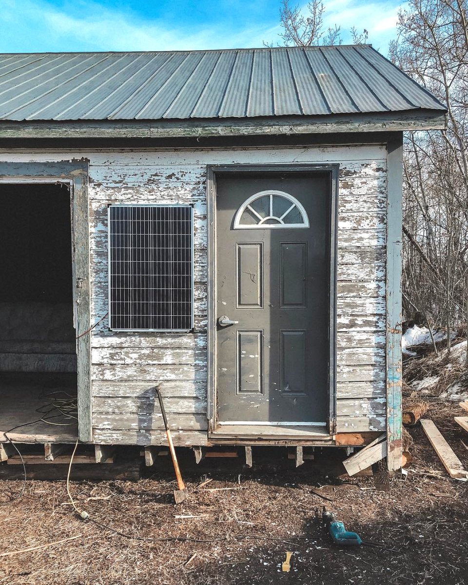 Хижина в лесу - фото 4