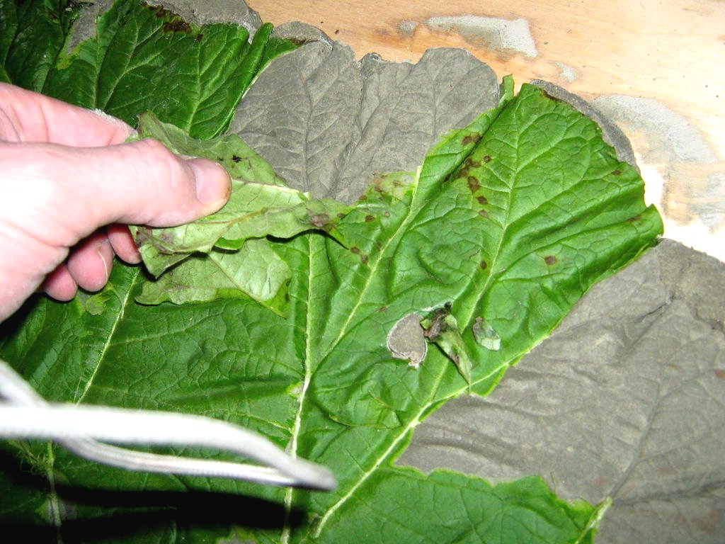 Декоративная дорожка для сада - фото 10