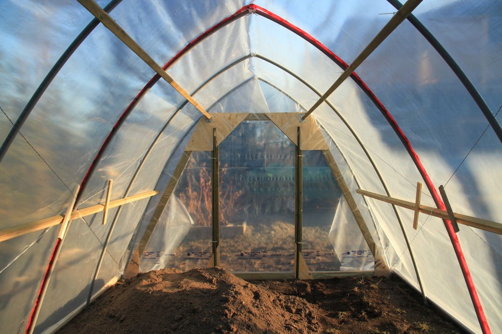 теплица - фото 8