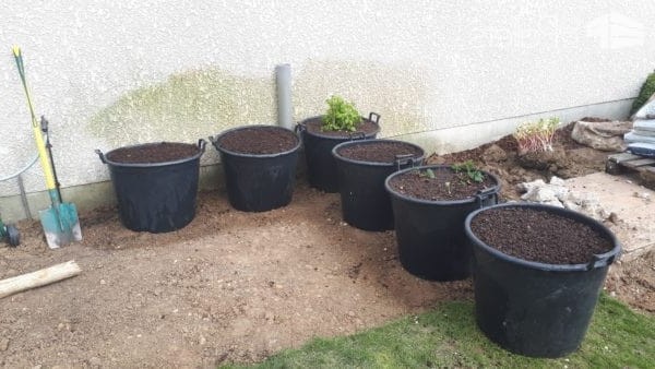 Грядка из поддонов и пластиковых горшков - фото 2