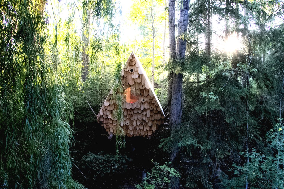 Необычный лесной домик - фото