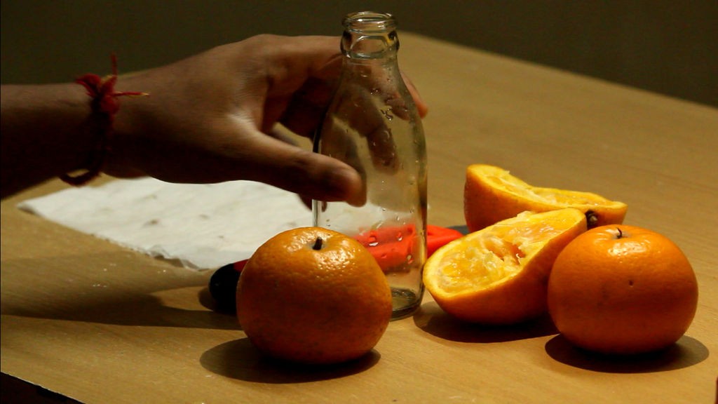 Как вырастить апельсиновое дерево из семян - фото 8