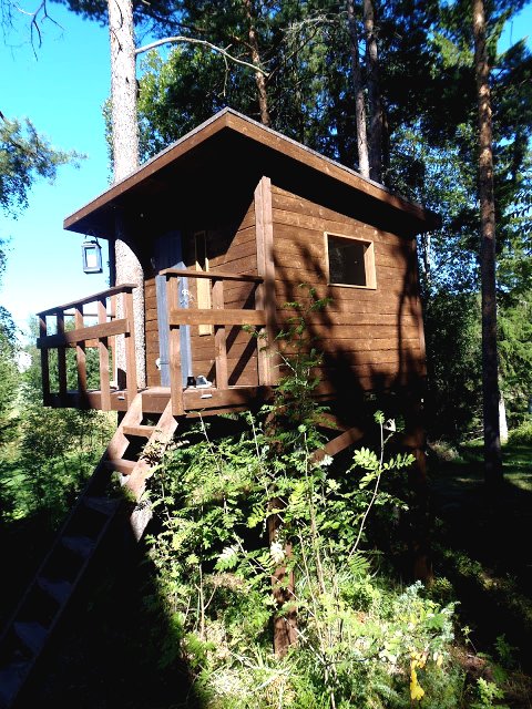 Детский деревянный домик на дереве - фото 9