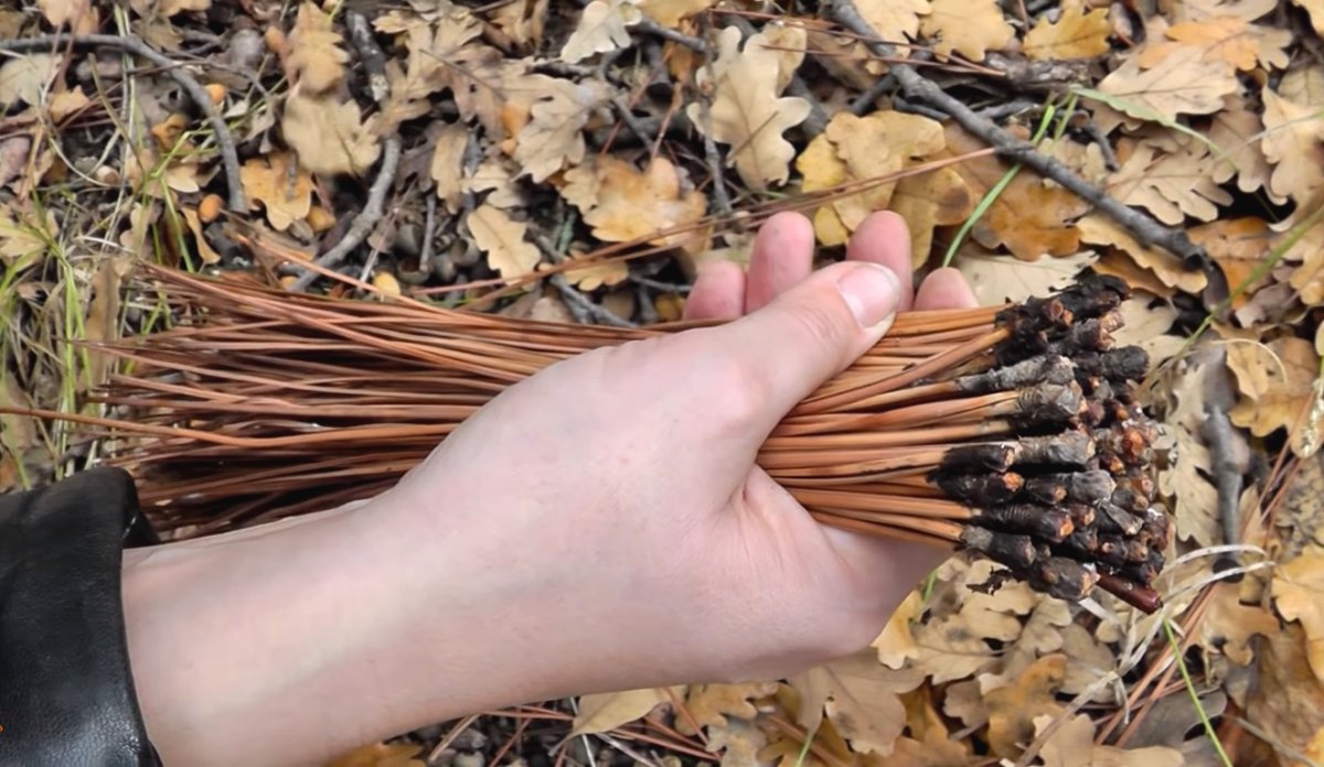 Плетеные корзины из хвойных иголок - фото 3