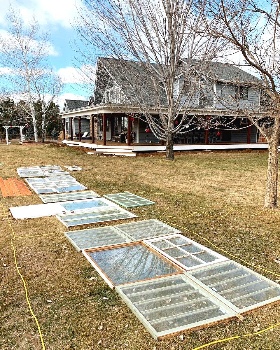 Оригинальная оранжерея из старых стекол - фото 4