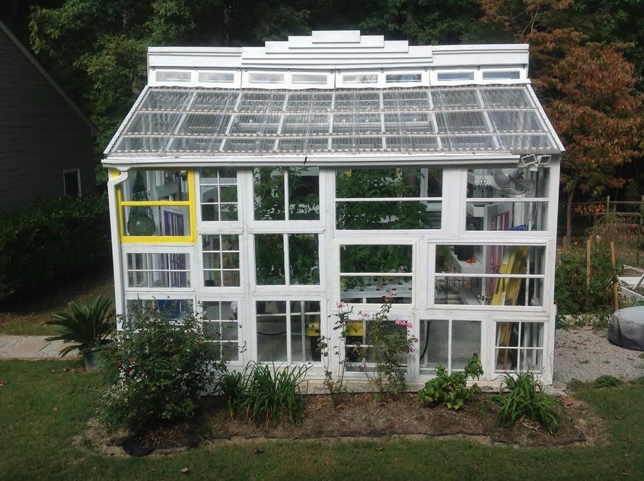 Оранжерея - фото 2