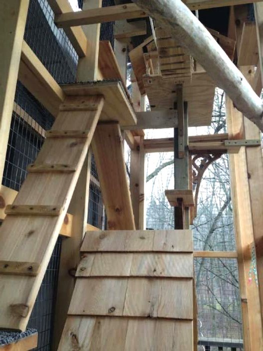 Дачный домик для кошки - фото 12