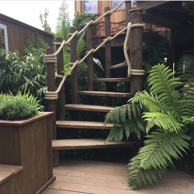 Дом на дереве - фото 7