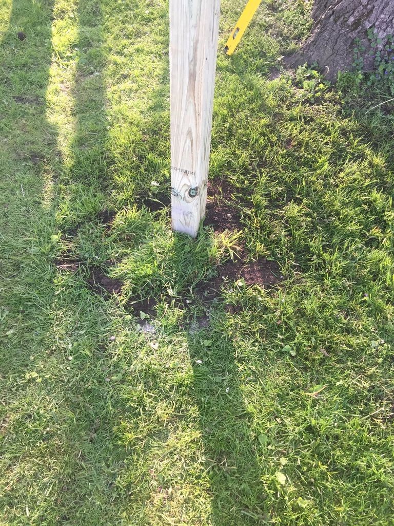 Дом на дереве - фото 11