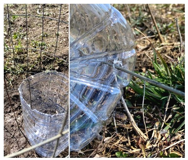 Идея для под корневого полива. - фото 2