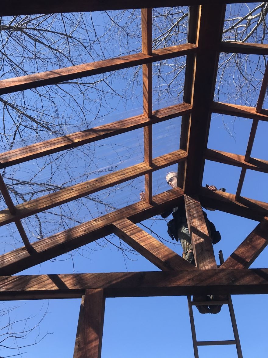 Удивительная оранжерея из старых окон - фото 10