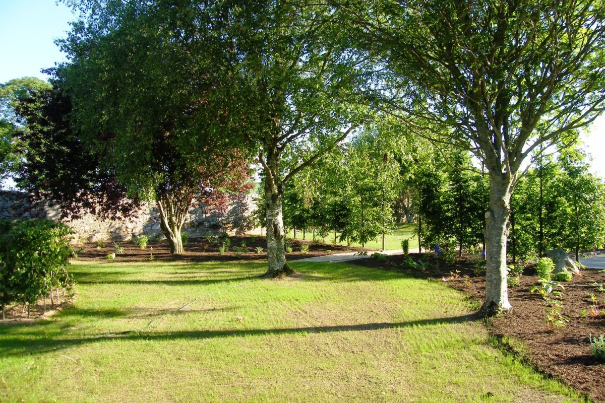 Сельский сад - фото 4