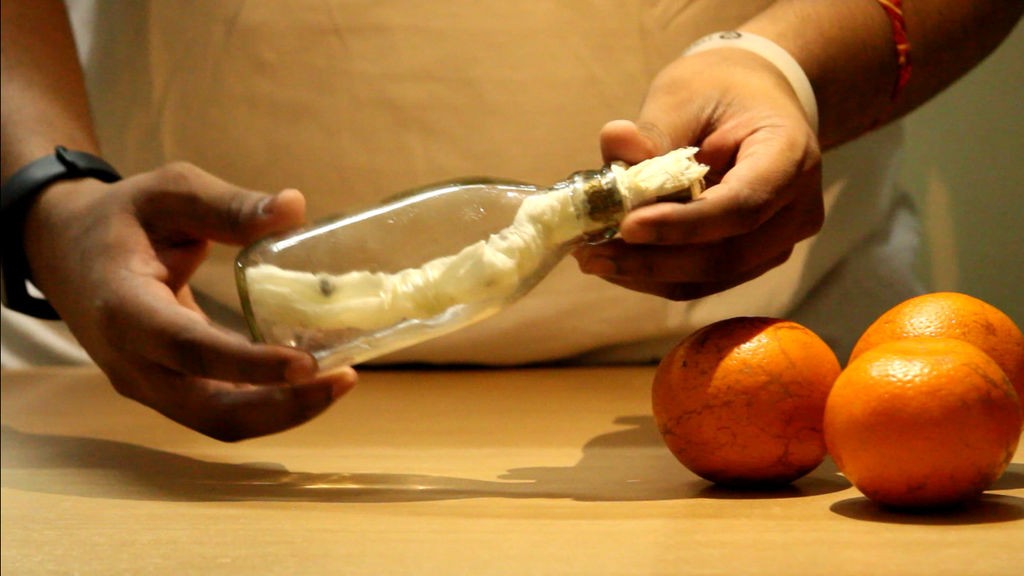 Как вырастить апельсиновое дерево из семян - фото 12