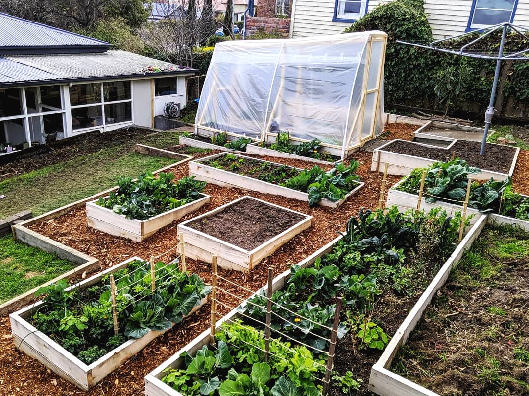 Парник из полиэтиленовой пленки своими руками - фото 8