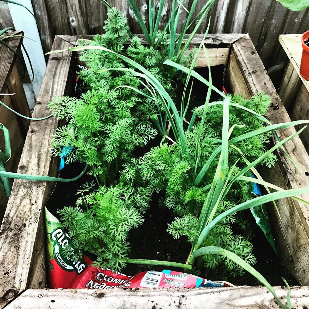 Очень маленький садовый двор - фото 4