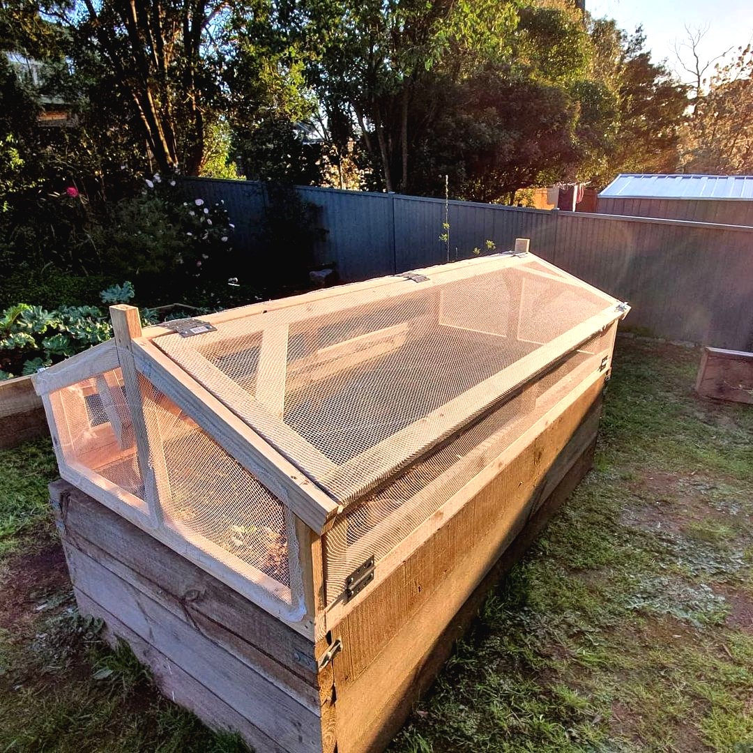 Высока грядка с защитой от улиток - фото 12