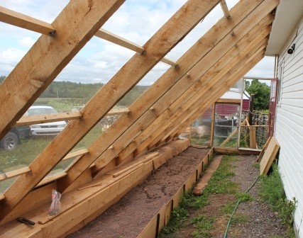 Парник - фото 11