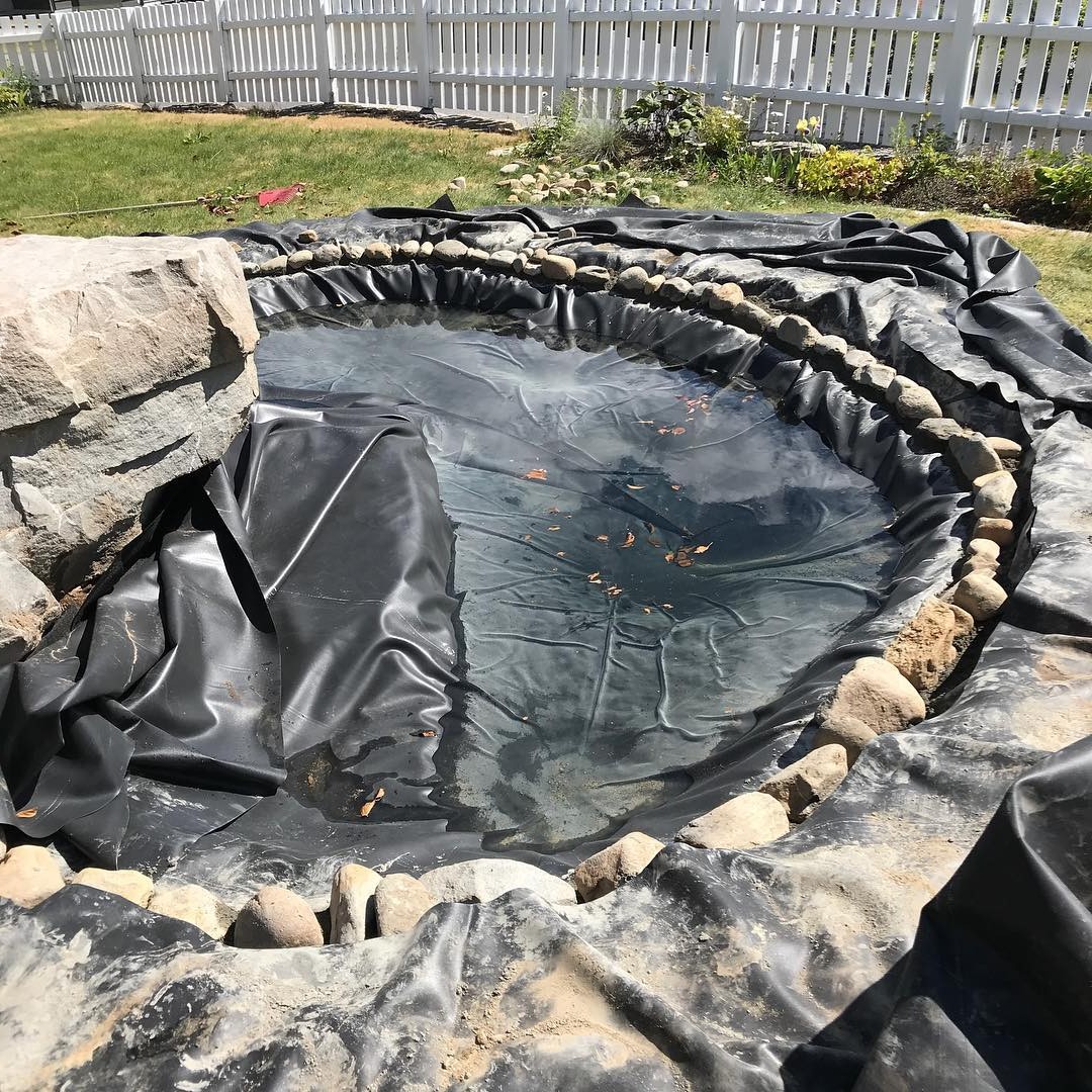 Пруд - фото 5