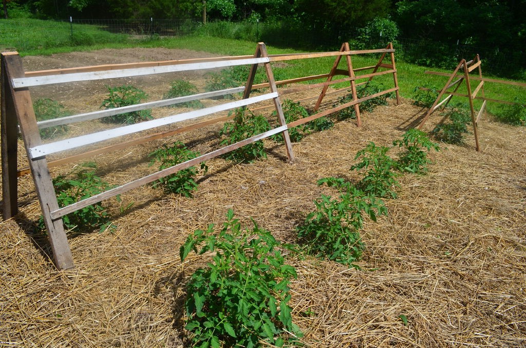 Деревянная шпалера из поддонов - фото 2