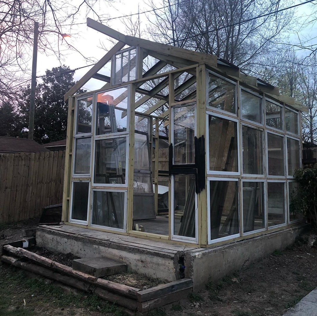 Удивительная оранжерея - фото 5