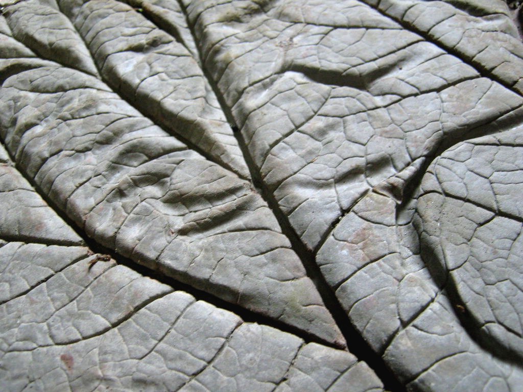 Декоративная дорожка для сада - фото 11