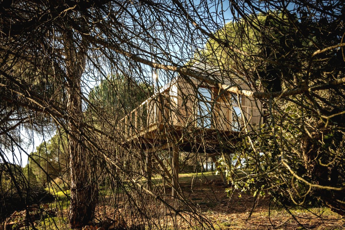 Домик на дереве своими руками - фото 5