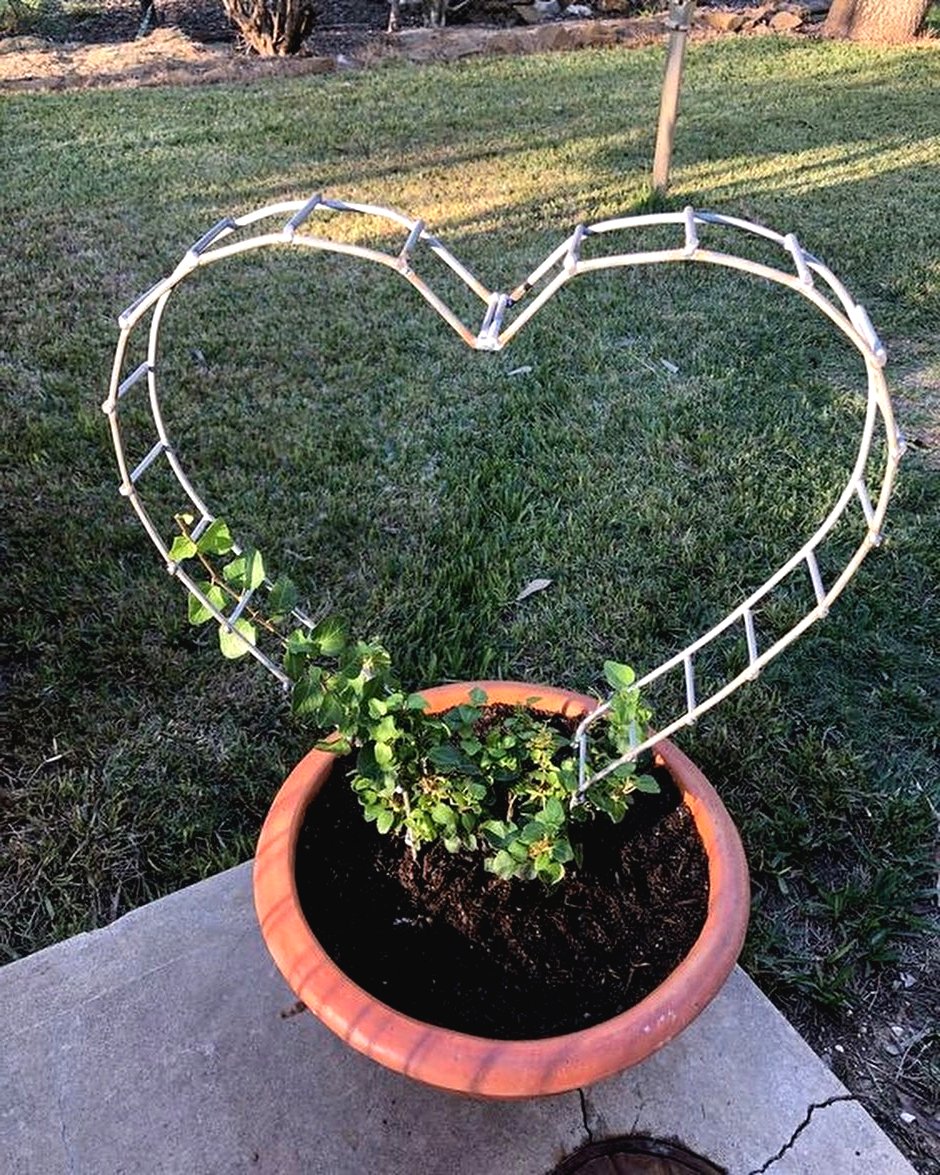 Идеи для клумб своими руками - фото 6