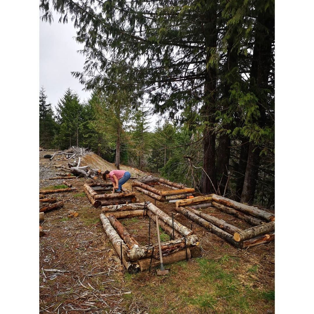 Невысокие грядки из стволов деревьев - фото 3