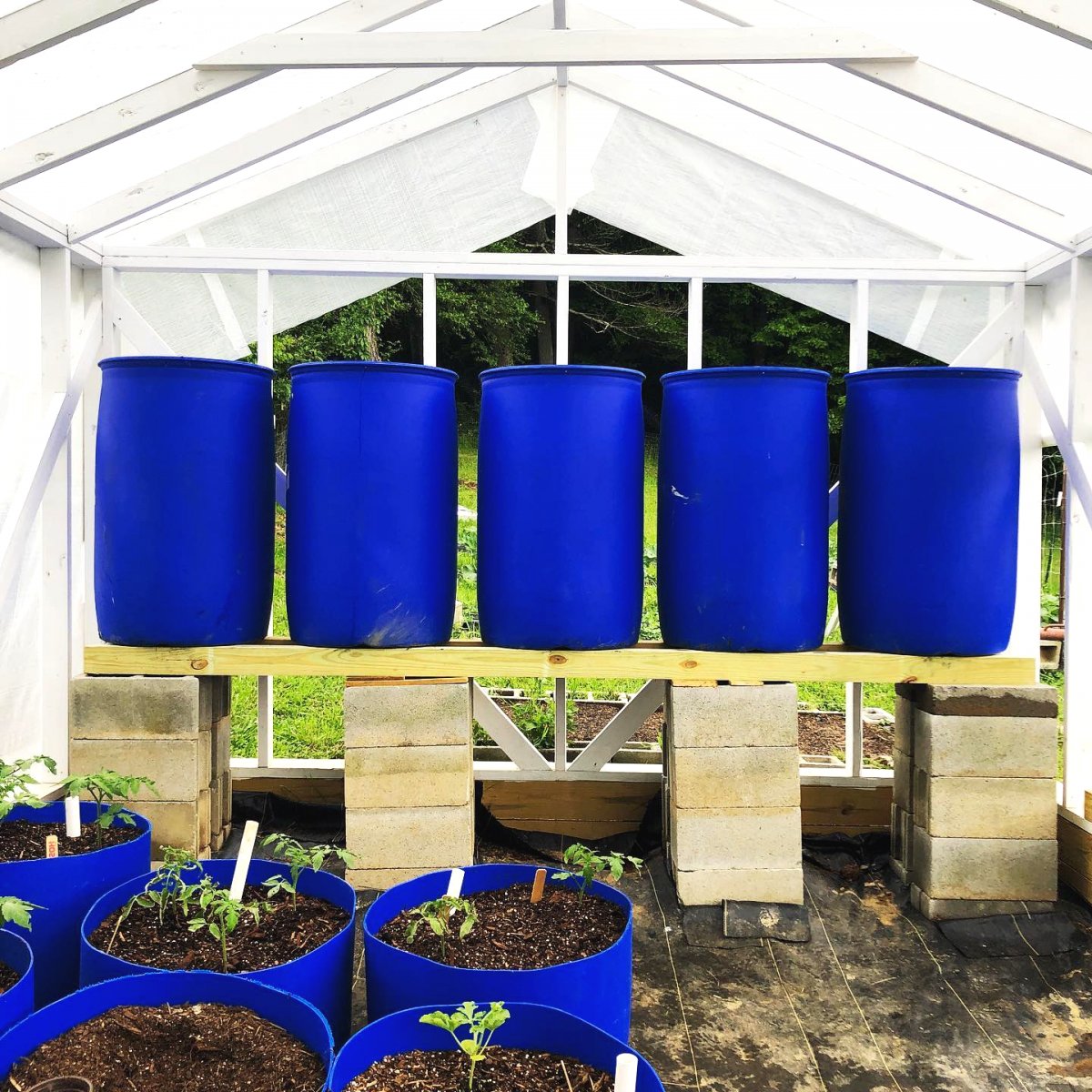 Теплица из дерева и пленки своими руками - фото 6