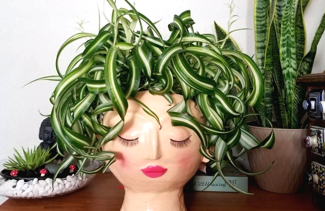 Кашпо для цветов своими руками - фото 2