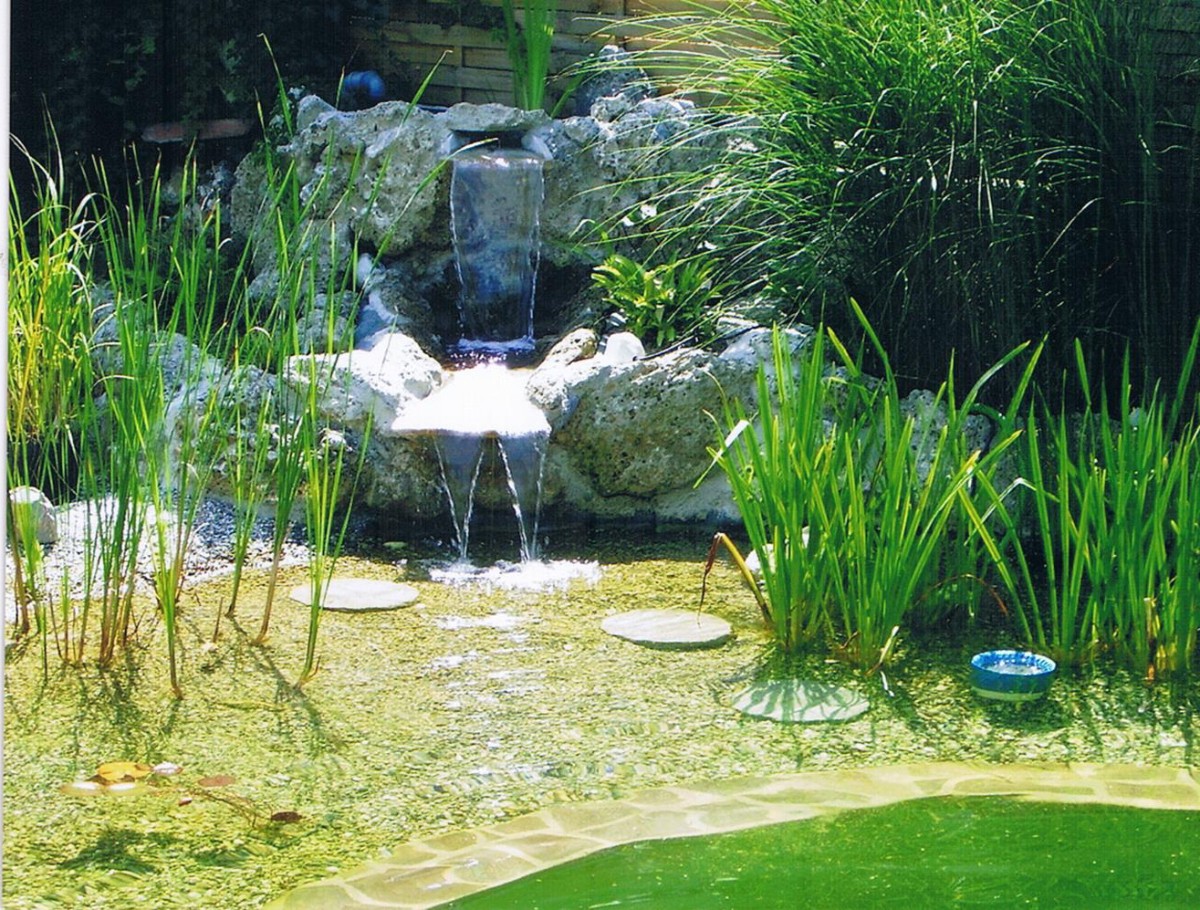 Пруд с мостом через него - фото 16