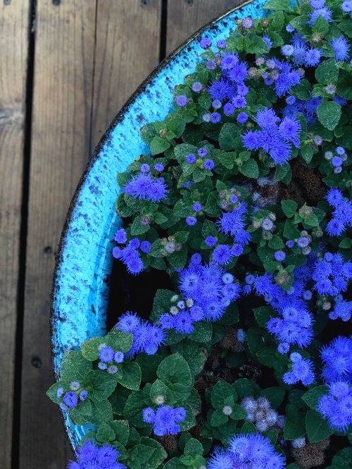 Оригинальный ландшафтный дизайн небольшого сада - фото 7